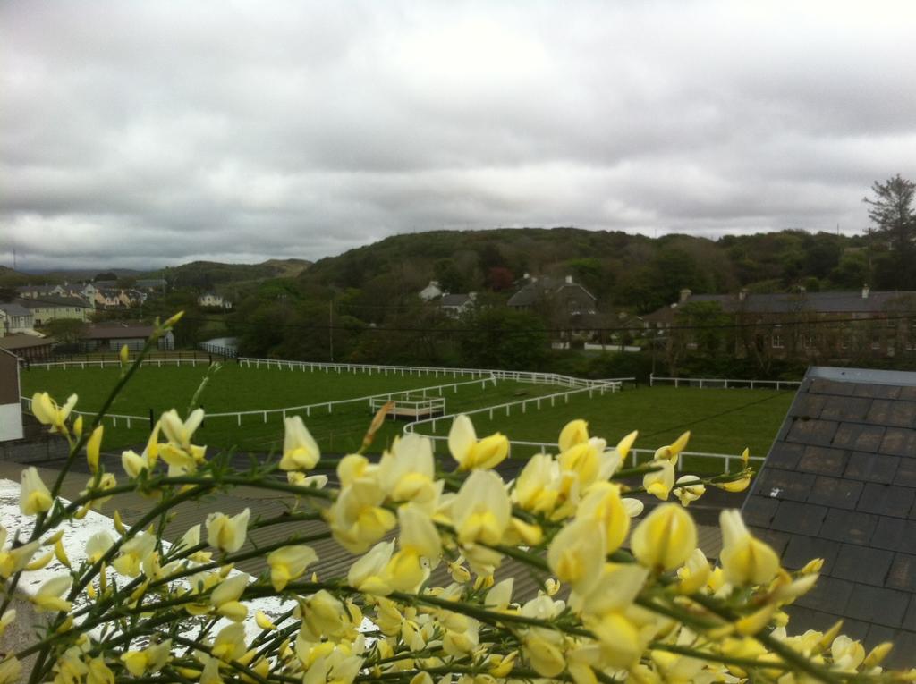 Errismore House Clifden Pokoj fotografie